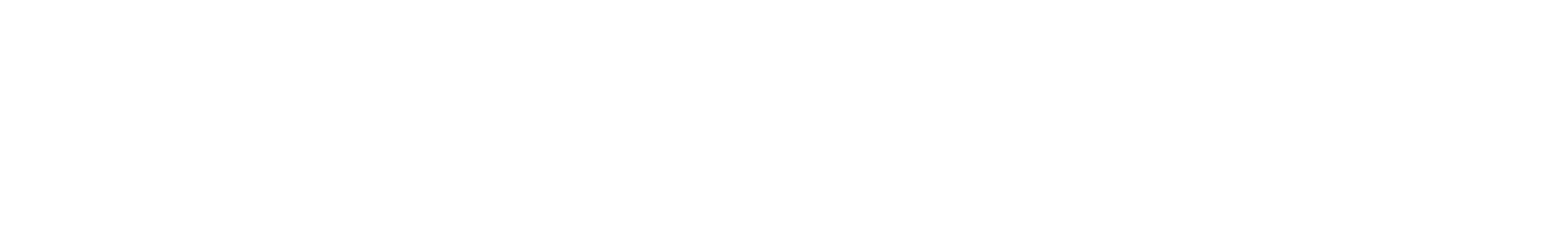 The Fairy Shop